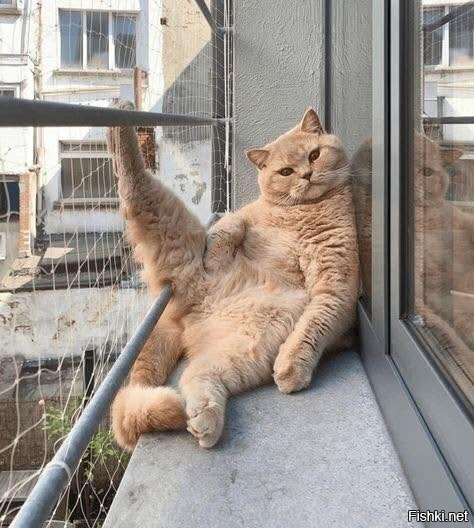 Хоба