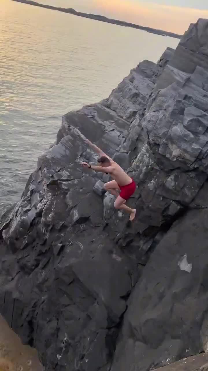 Выглядит