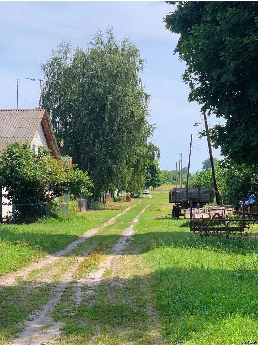 Солянка