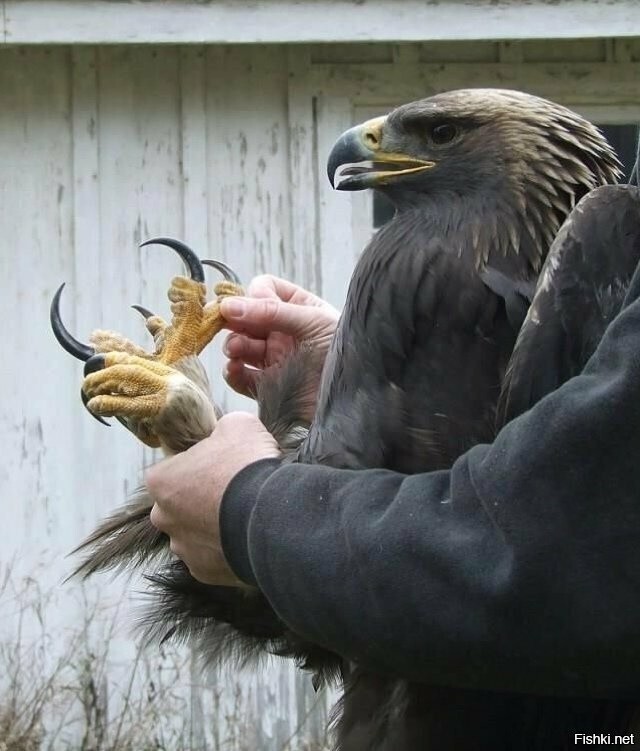 .....еще стразики наклеим!