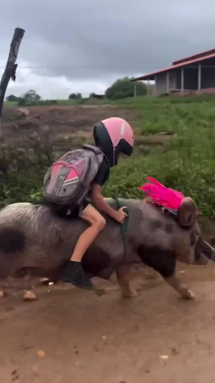 в пятницу с работы