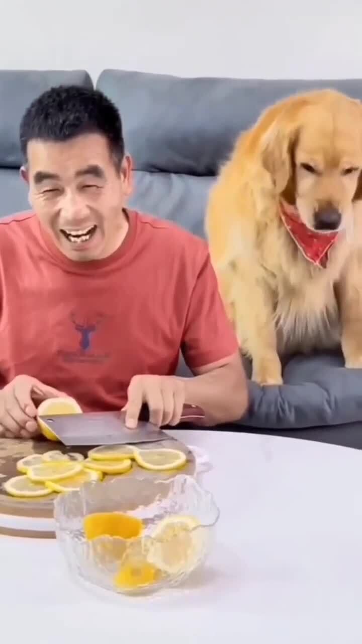 Ты что мне дал