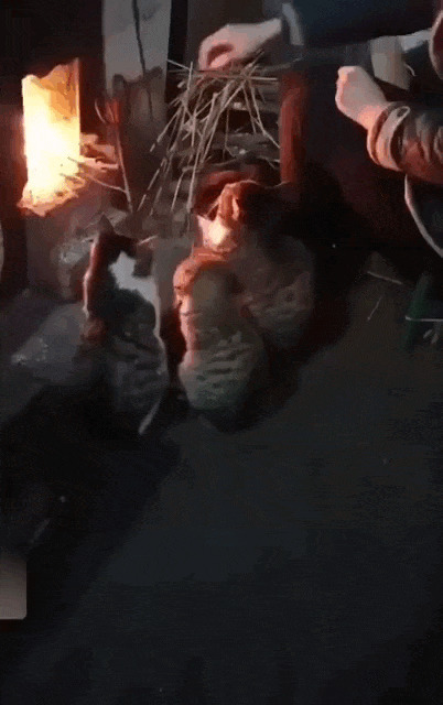 Солянка