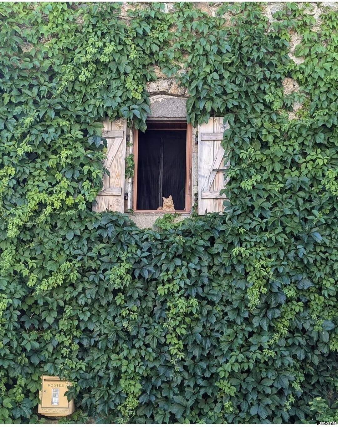 Доброе утро
