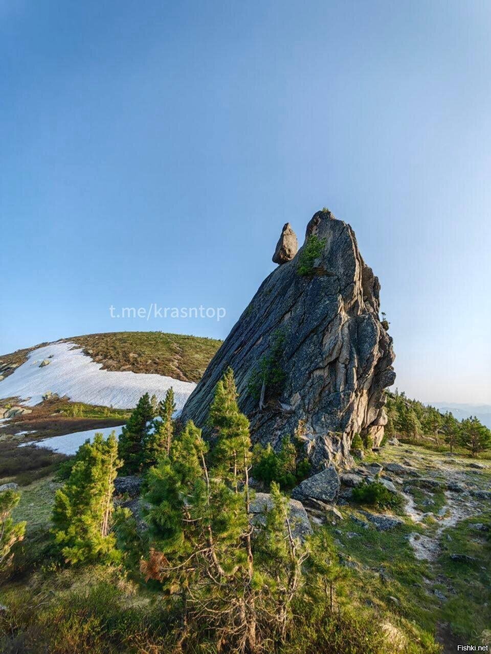 Солянка