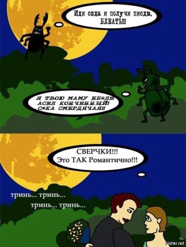 Солянка