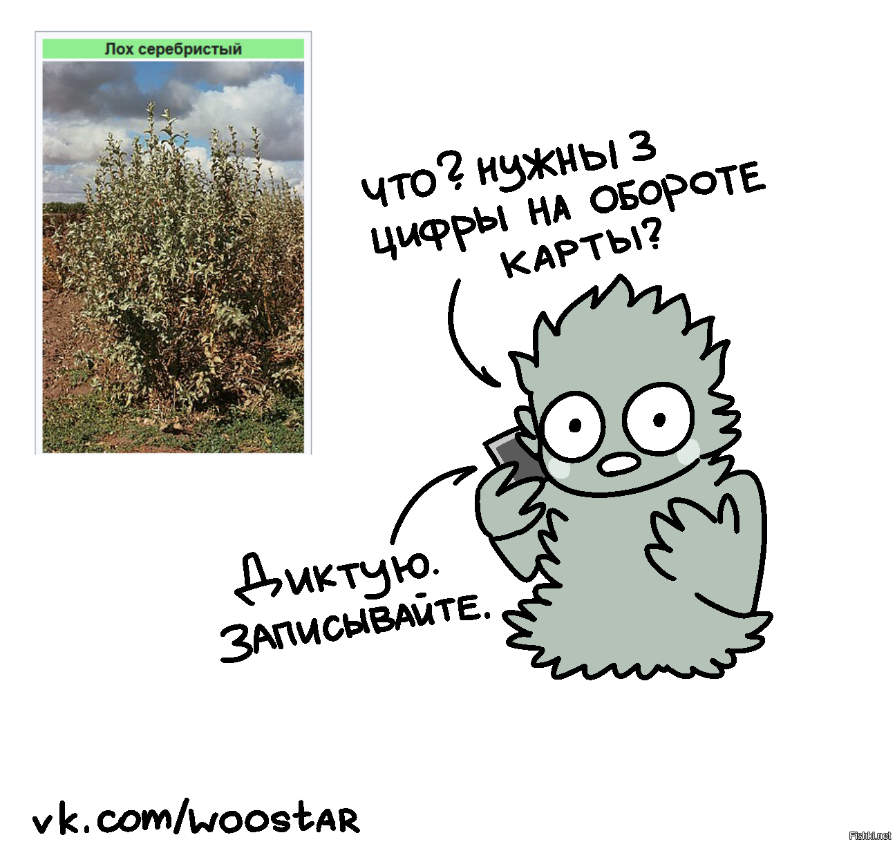 Солянка