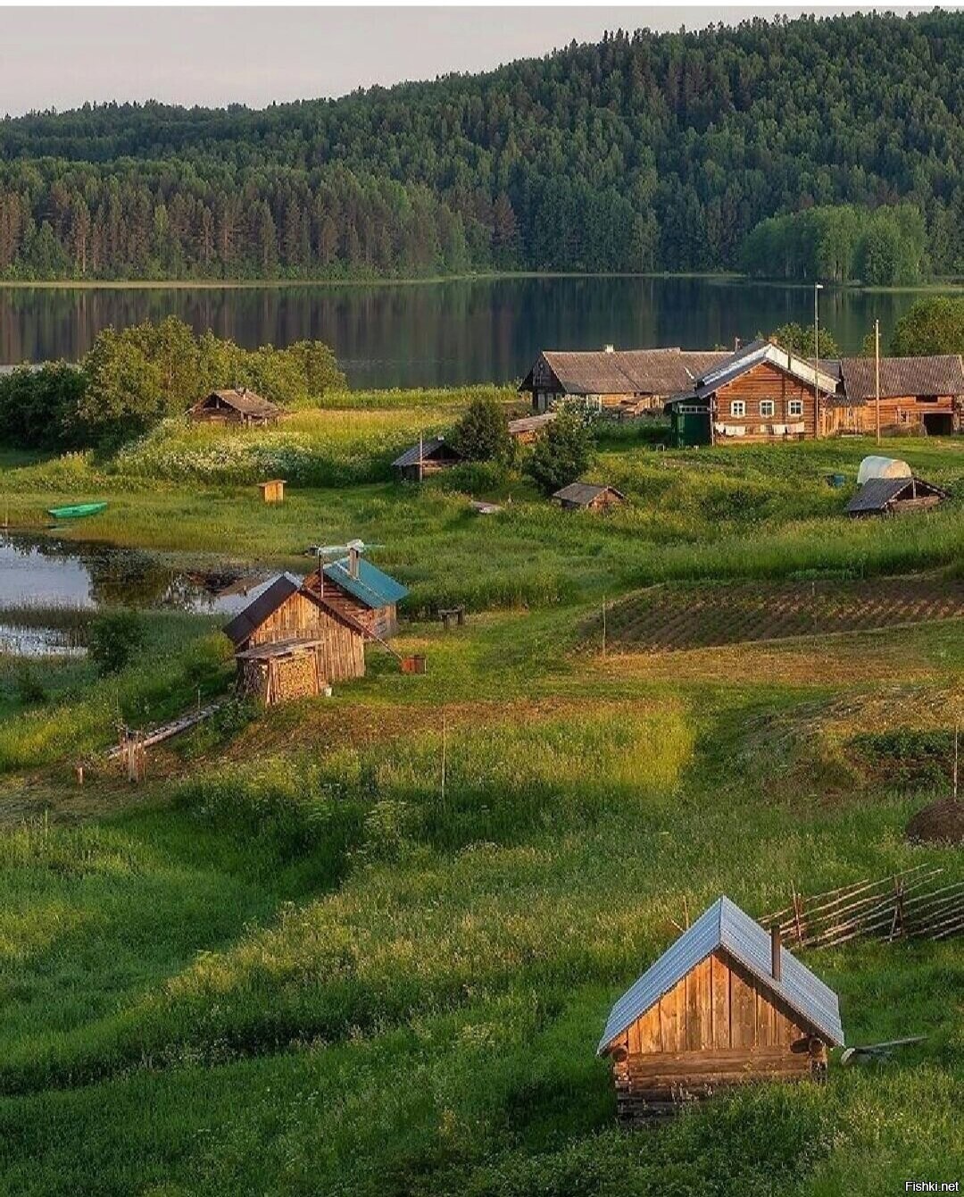 Солянка