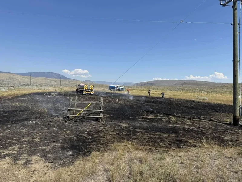 В Канаде рыба, упавшая с неба, обесточила село и вызвала пожар