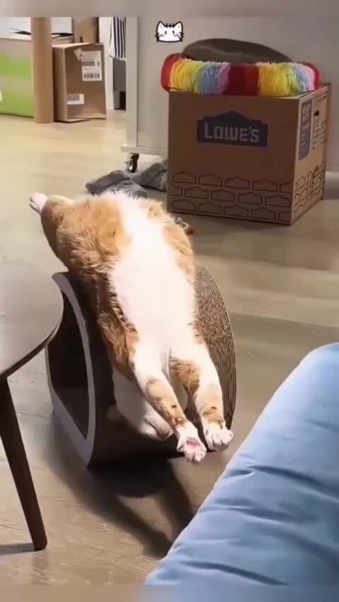 Где их только не увидишь )))