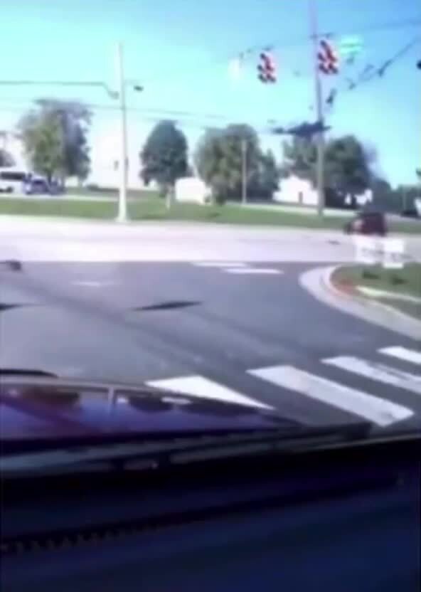 Одним тихим, солнечным, спокойным днём…