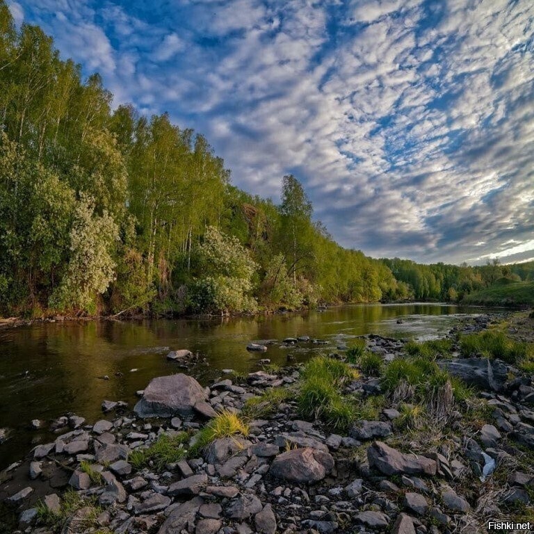 Солянка