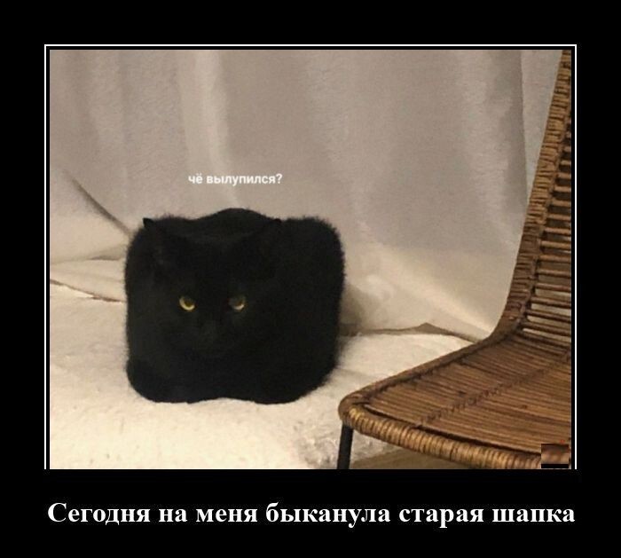 Демотиваторы для всех 