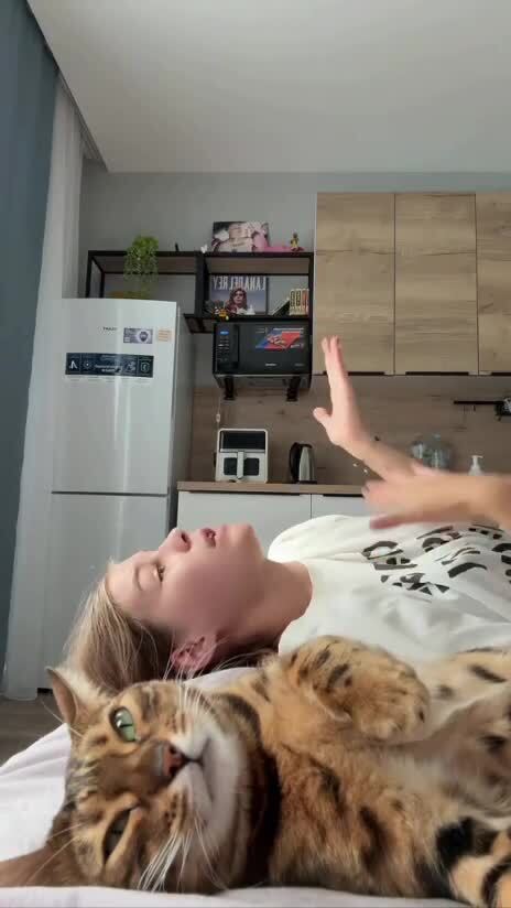 Ну и жизнь у тебя, Наташ