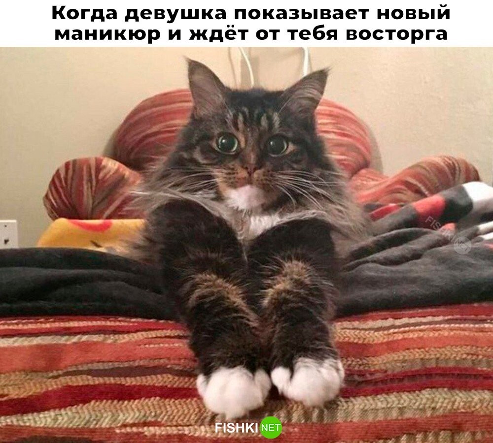 Не ищите здесь смысл. Здесь в основном маразм