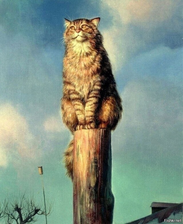 Солянка