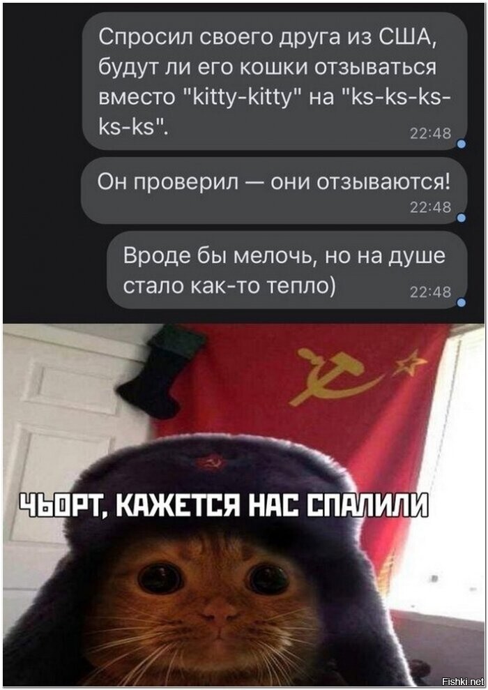 Солянка
