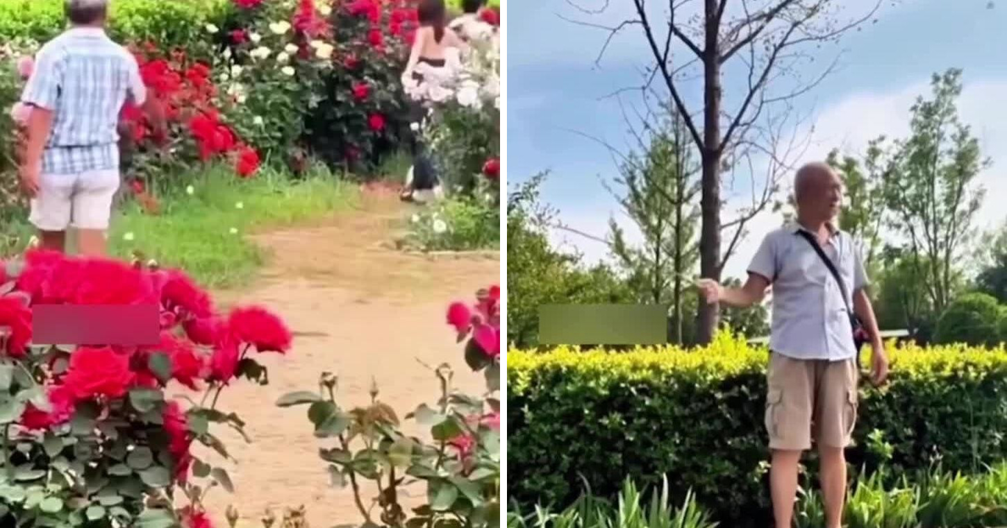 Повелитель бабочек