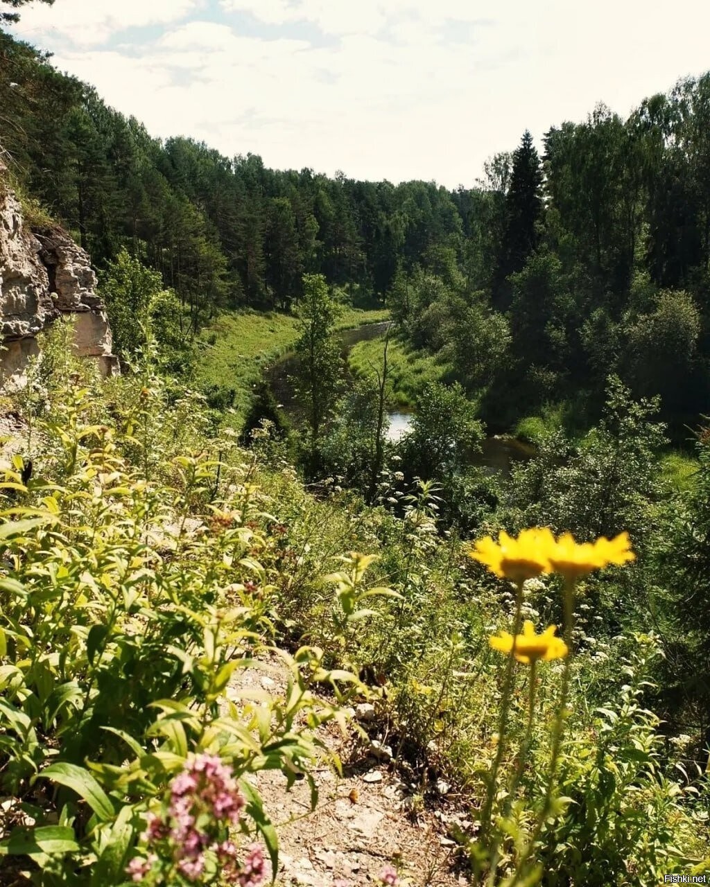 Река Держа