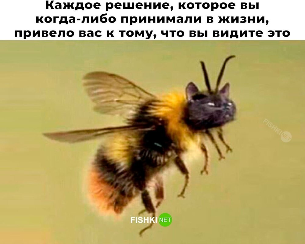 Скрины из соцсетей