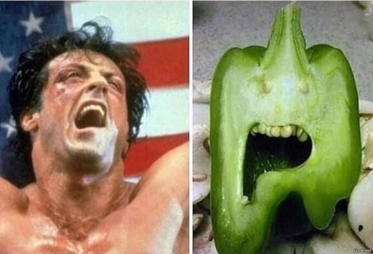 Солянка