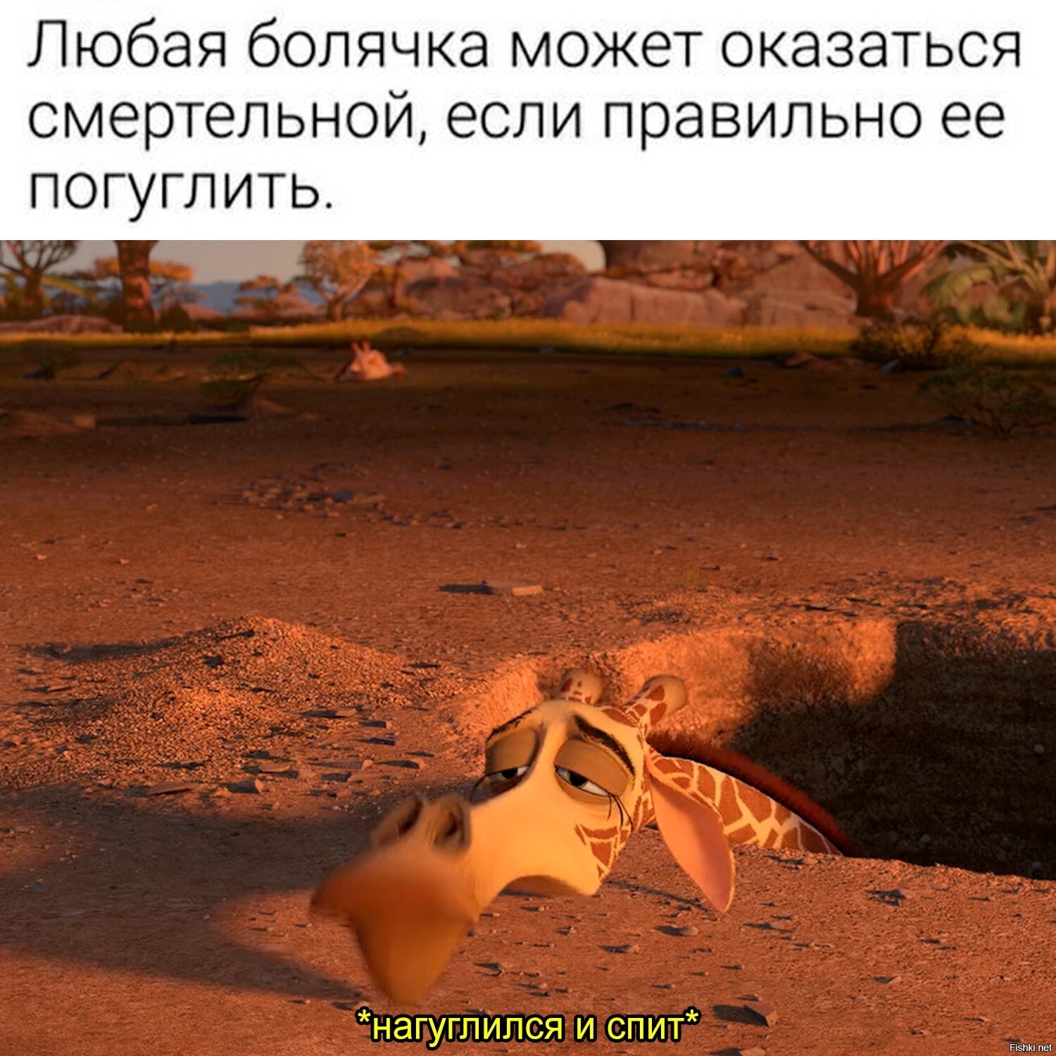 Солянка