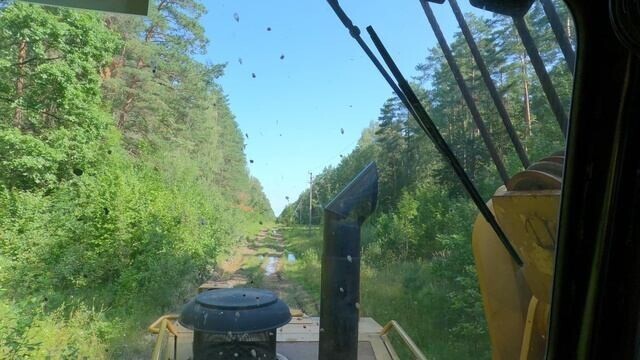 Вчерашнее видео с лесом и полем