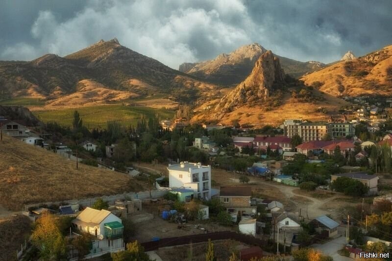 Солянка