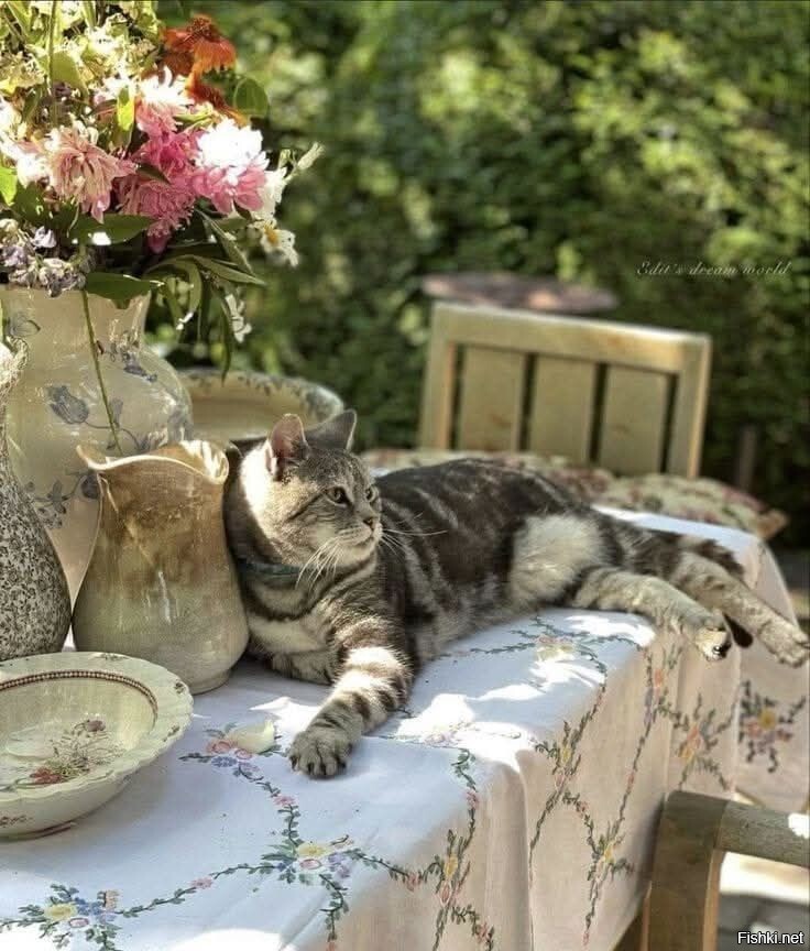 Солянка