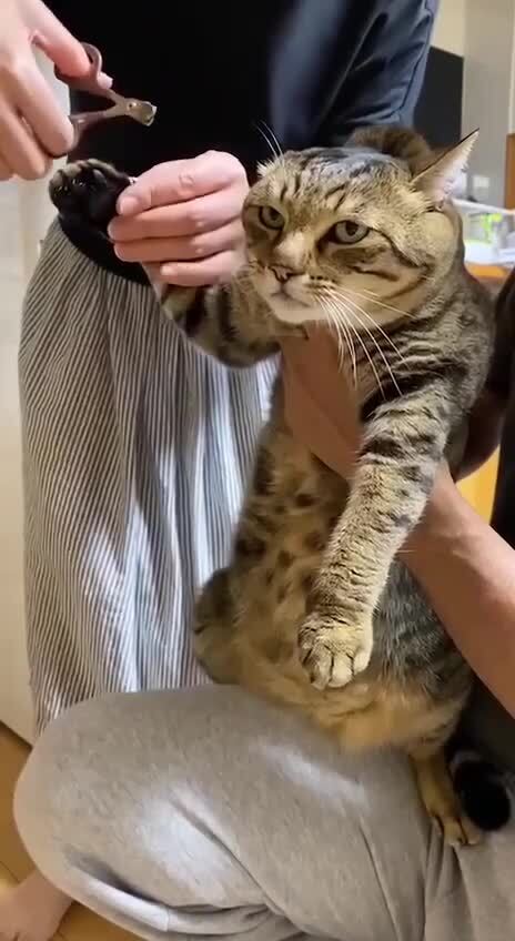 План мести уже в голове