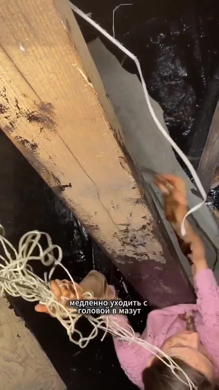Спасательница щенка