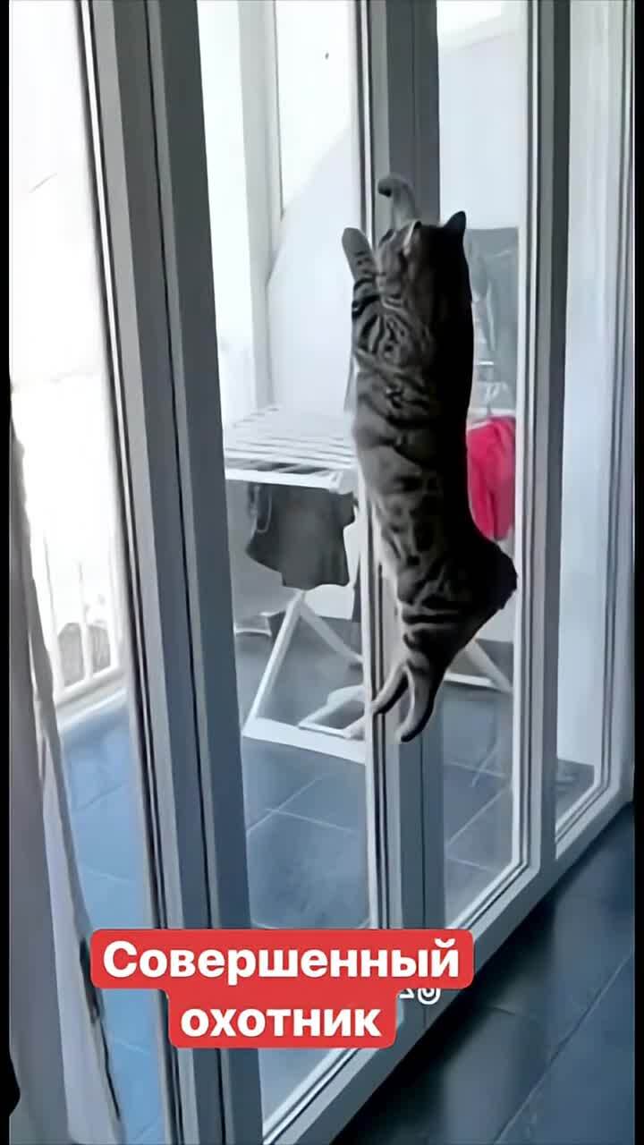 Чётко
