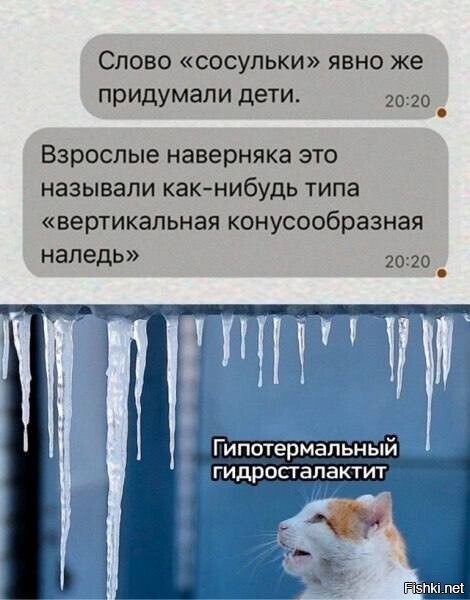 Солянка
