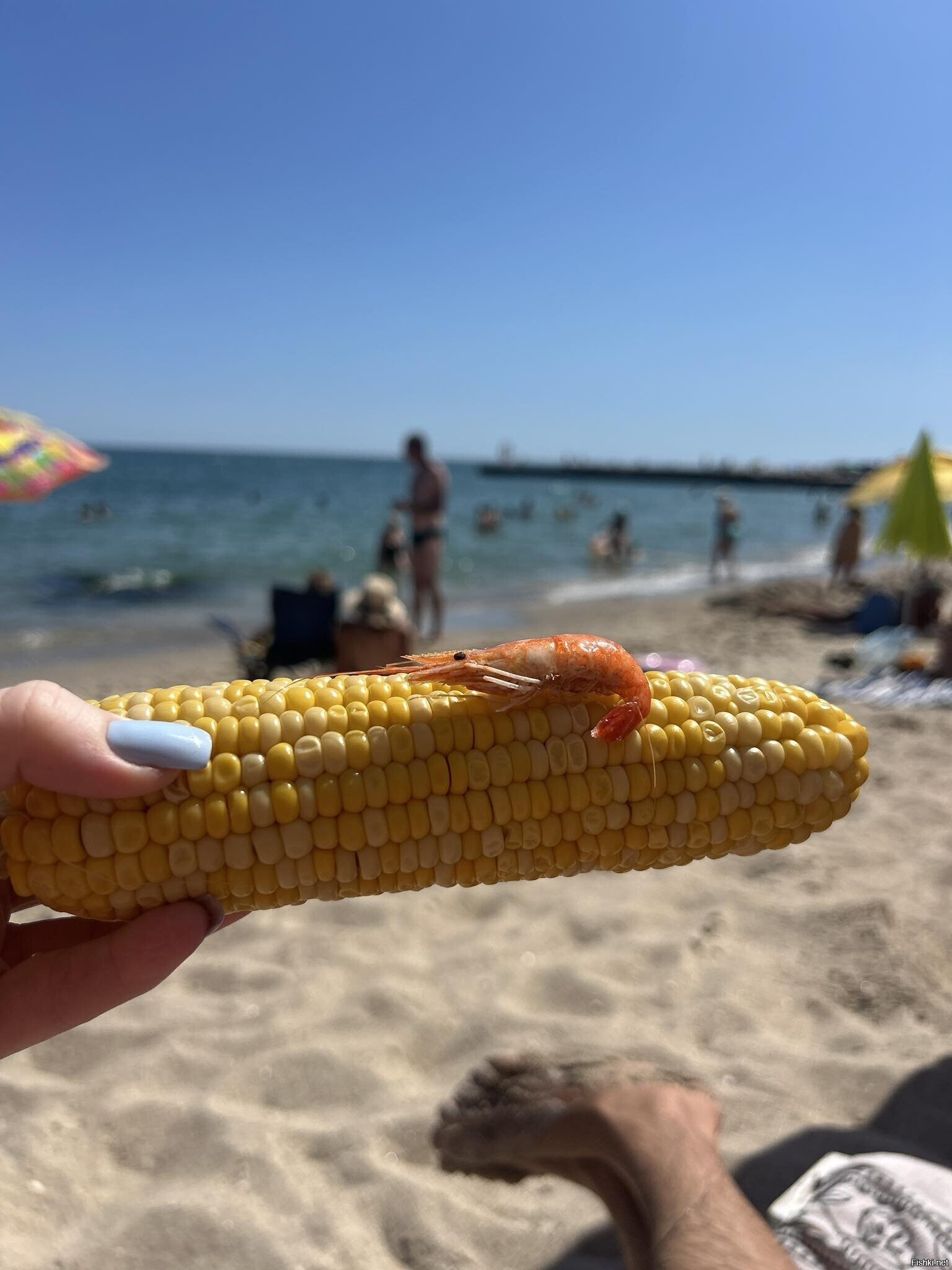 Солянка