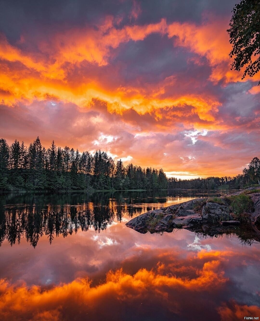 Солянка