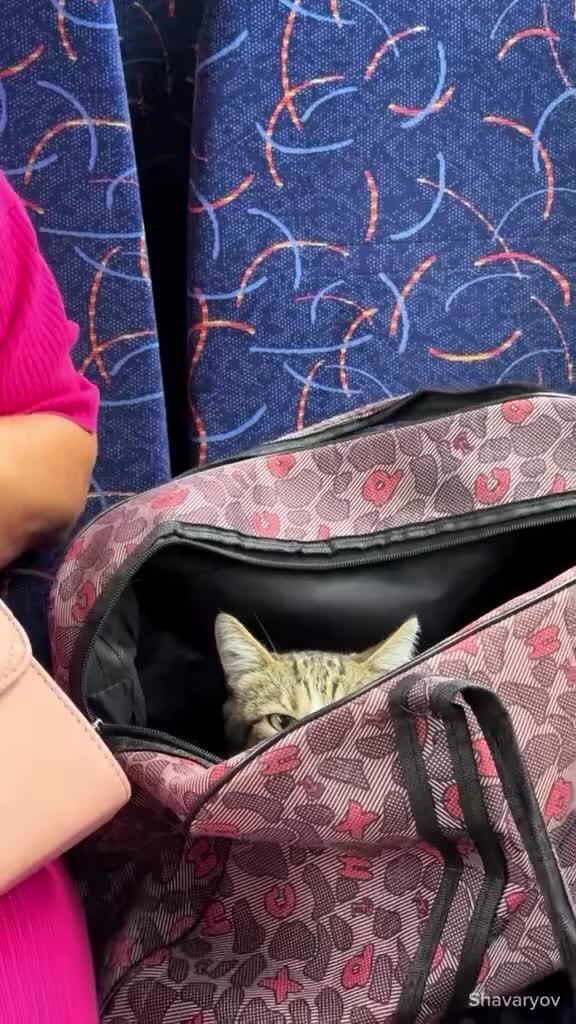 В алматинском автобусе)