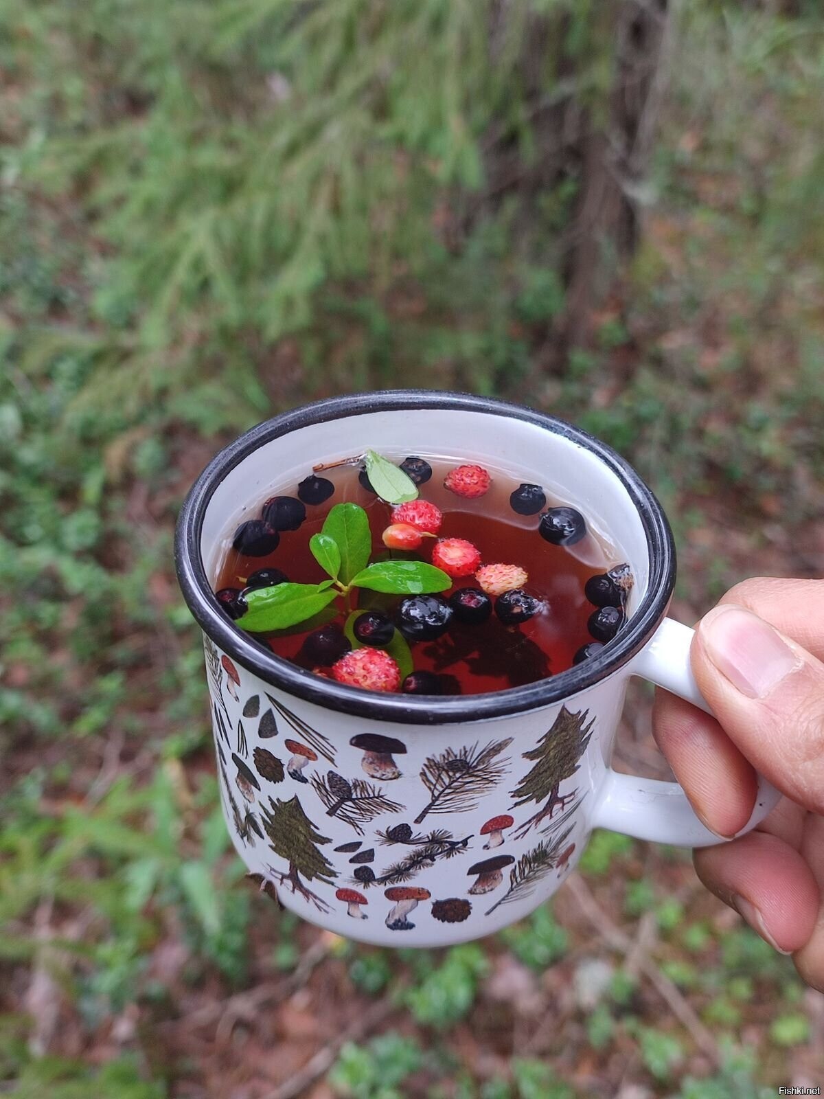 Солянка