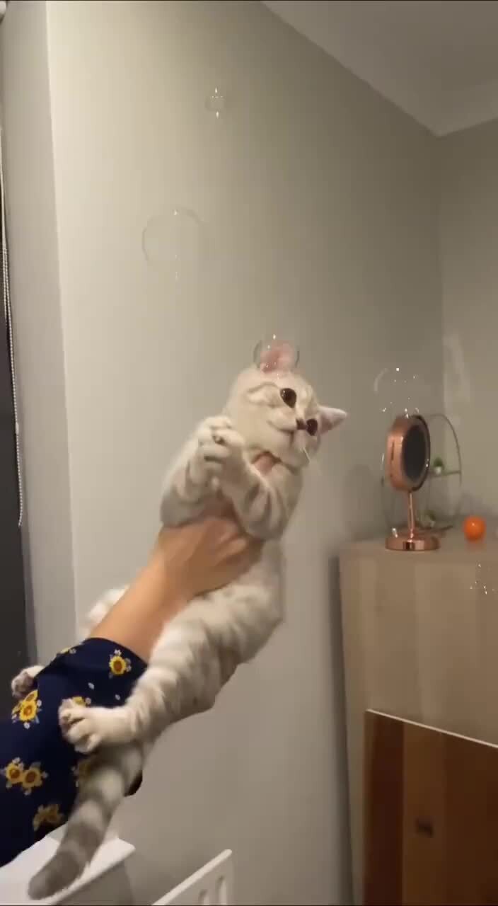 Довольный)