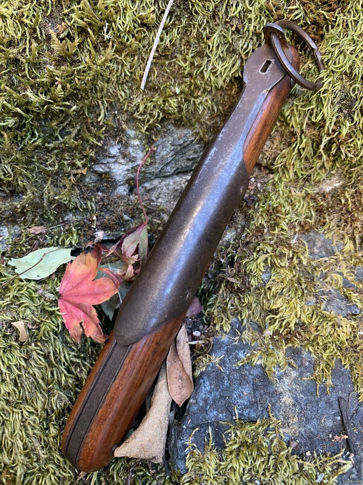 Солянка