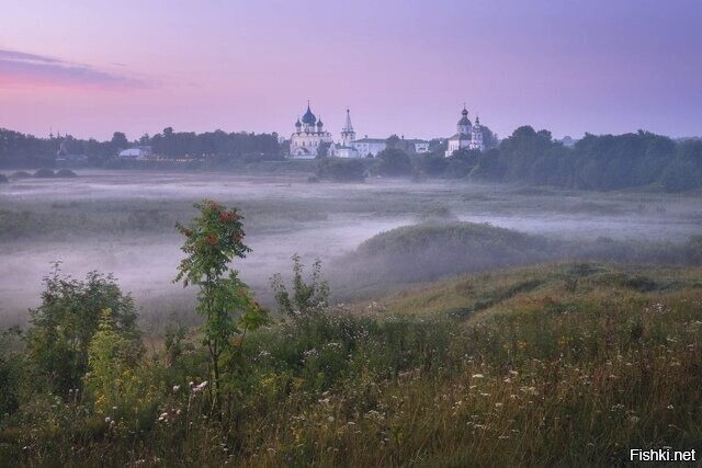 Солянка