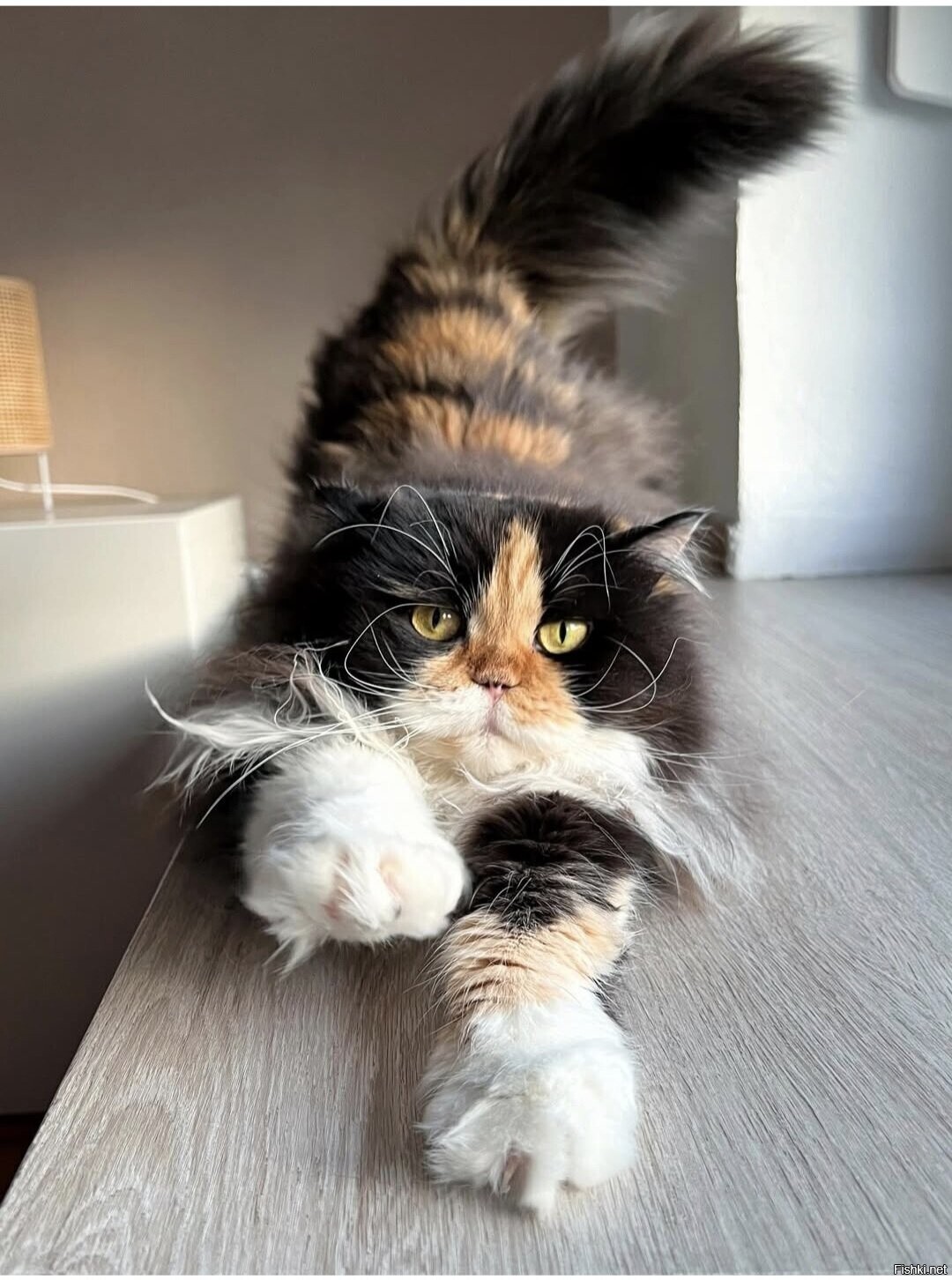 Доброе утро