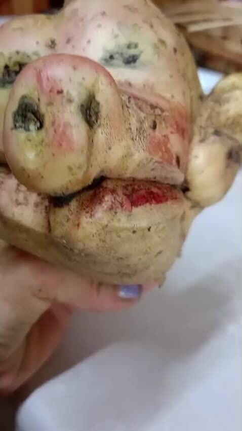 Солянка