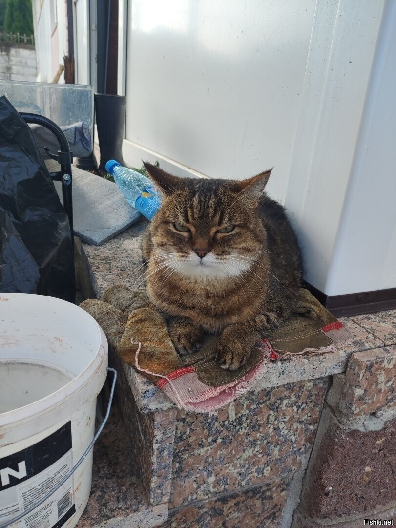 Солянка