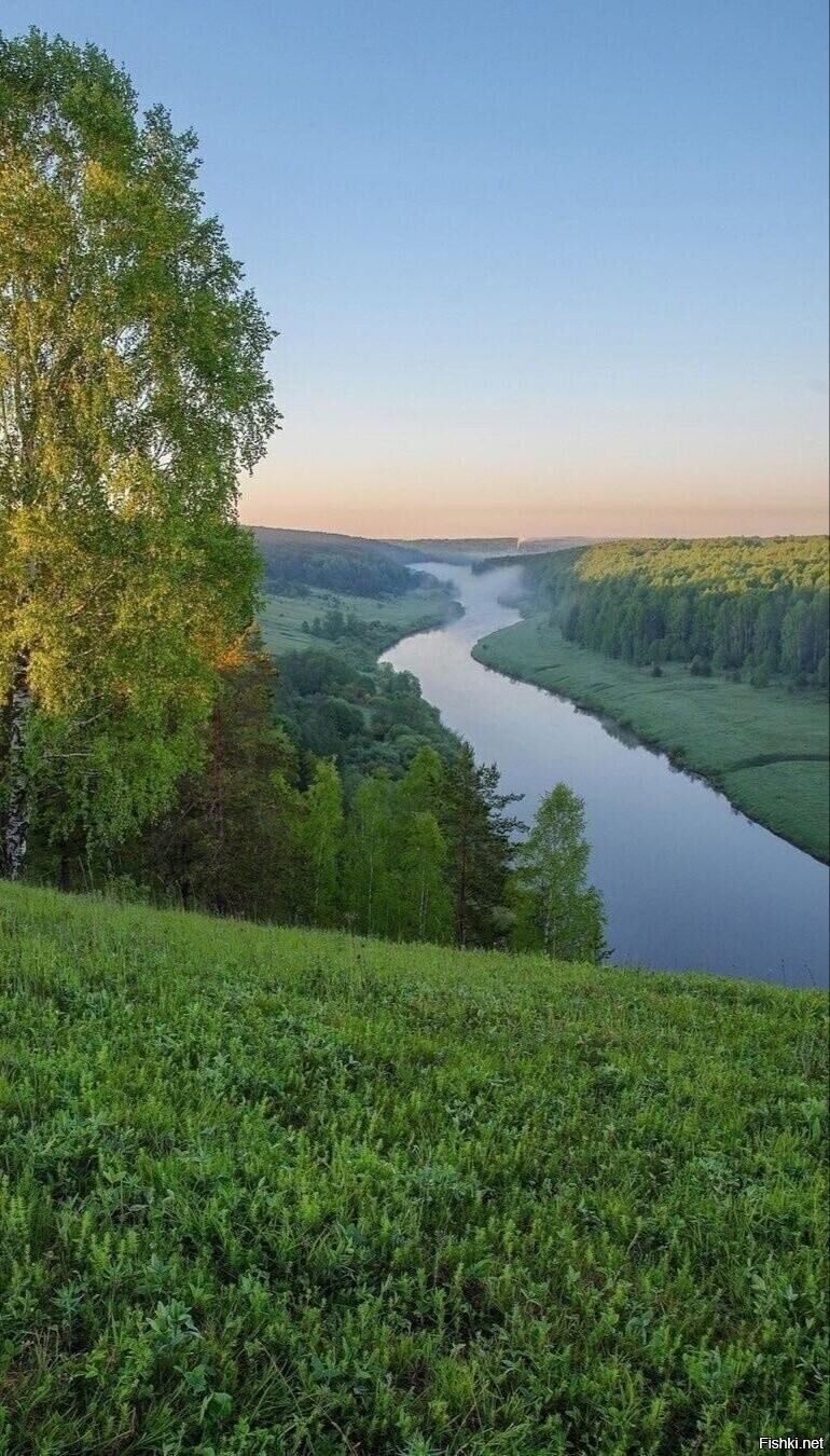 Солянка