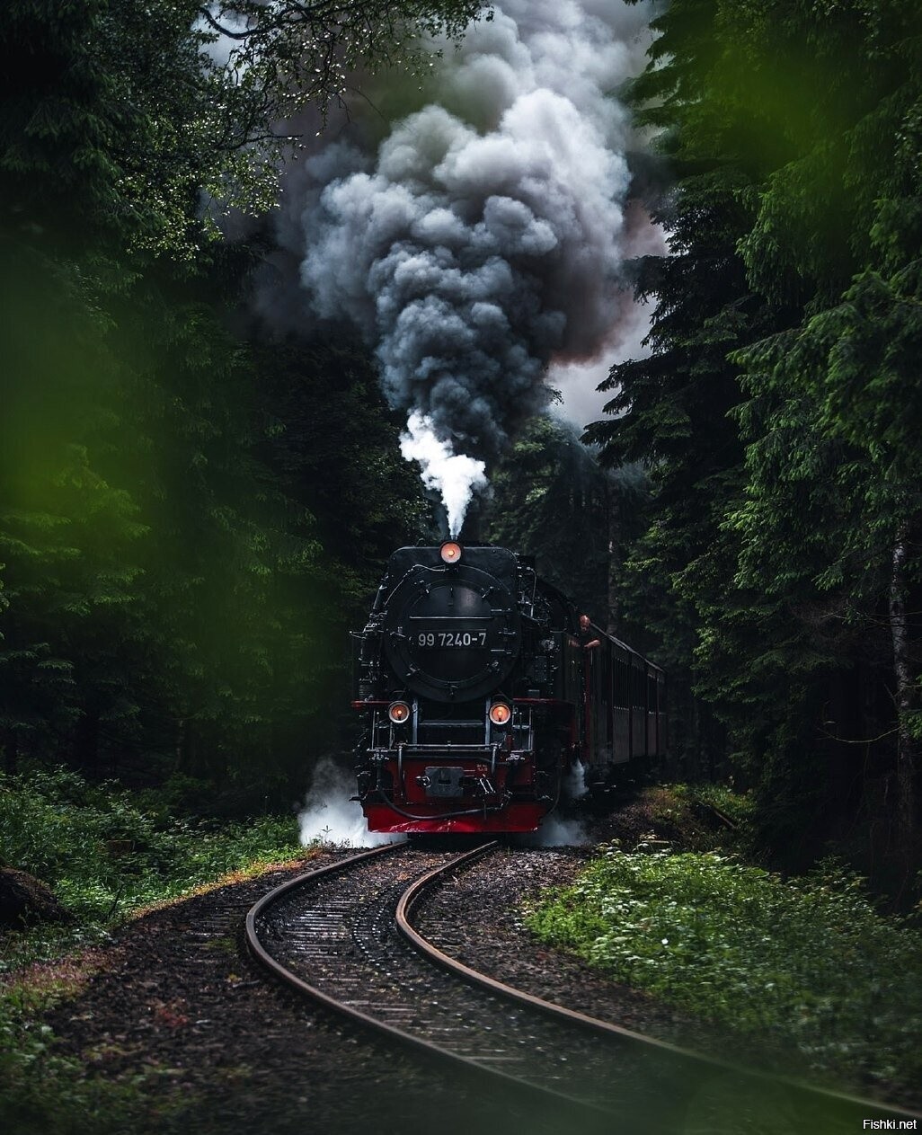 Солянка