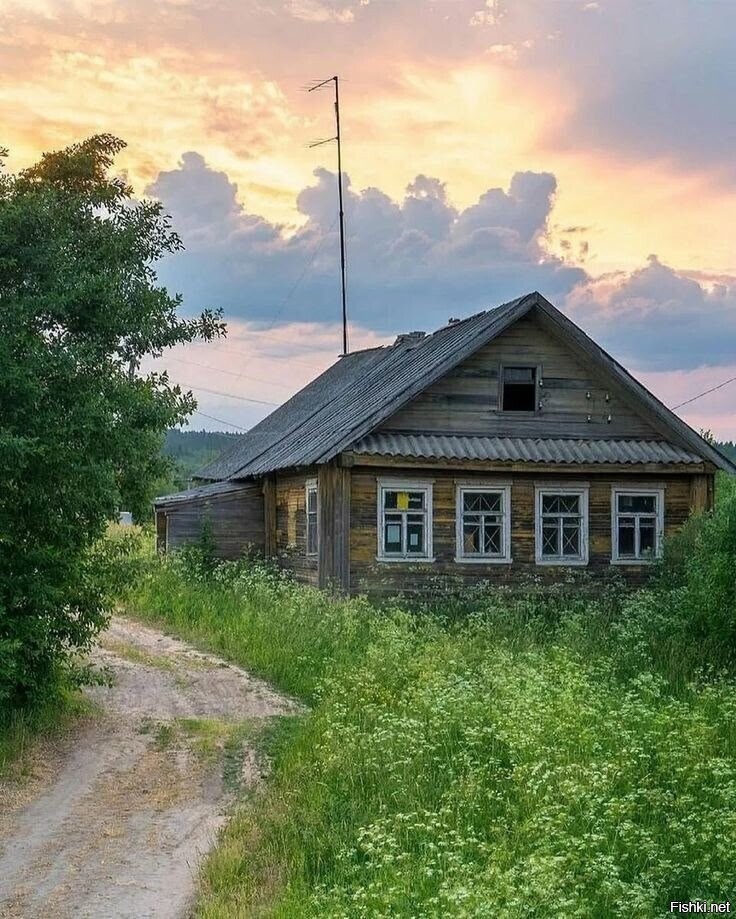 Солянка