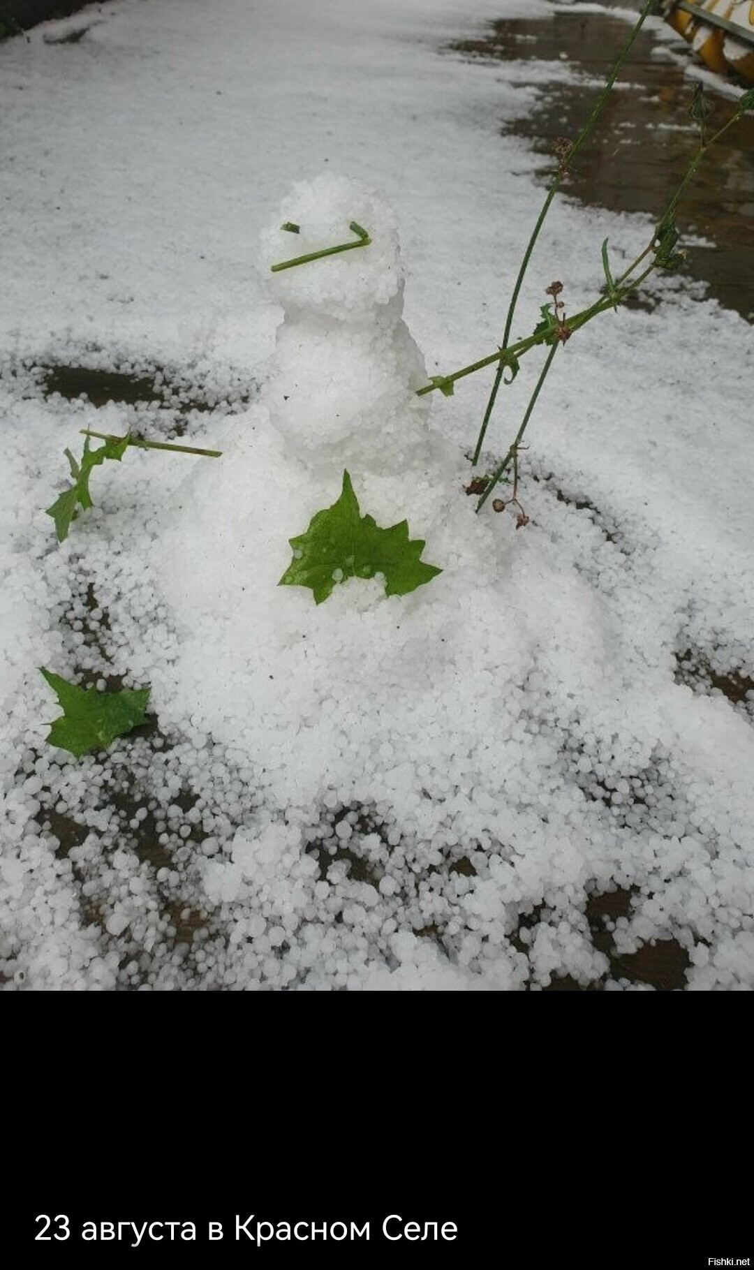 Солянка