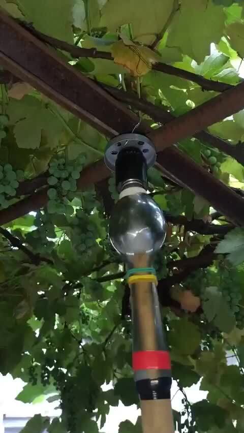 Олды 