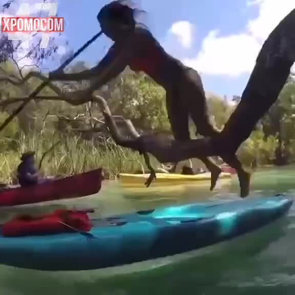 Она планировала не это, но получилось тоже неплохо