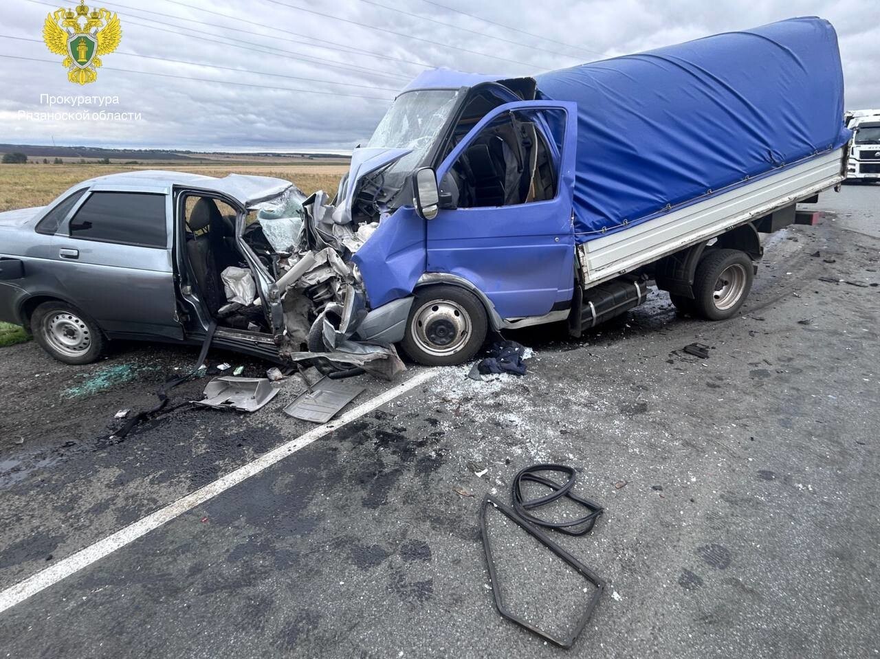 ДТП в Рязанской области "Раз, и нет двух человек"